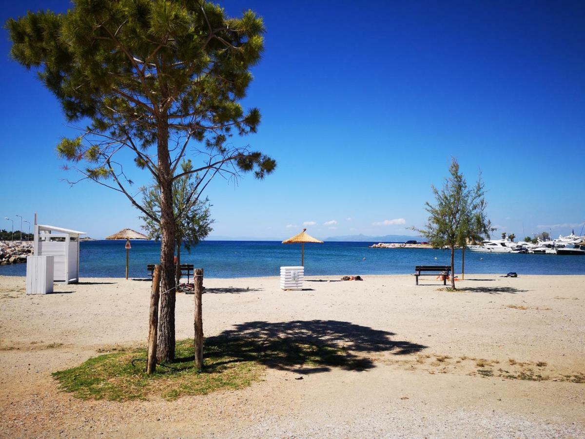 Sea&Sun Glyfada Apartment Афіни Екстер'єр фото